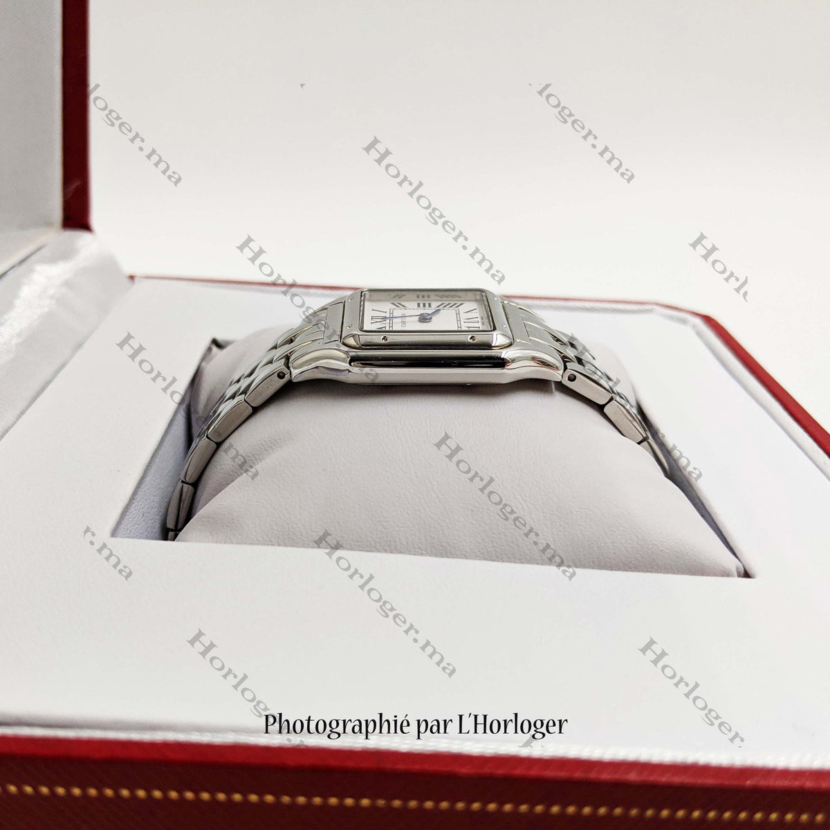 Сartⅰеr Panthère Silver