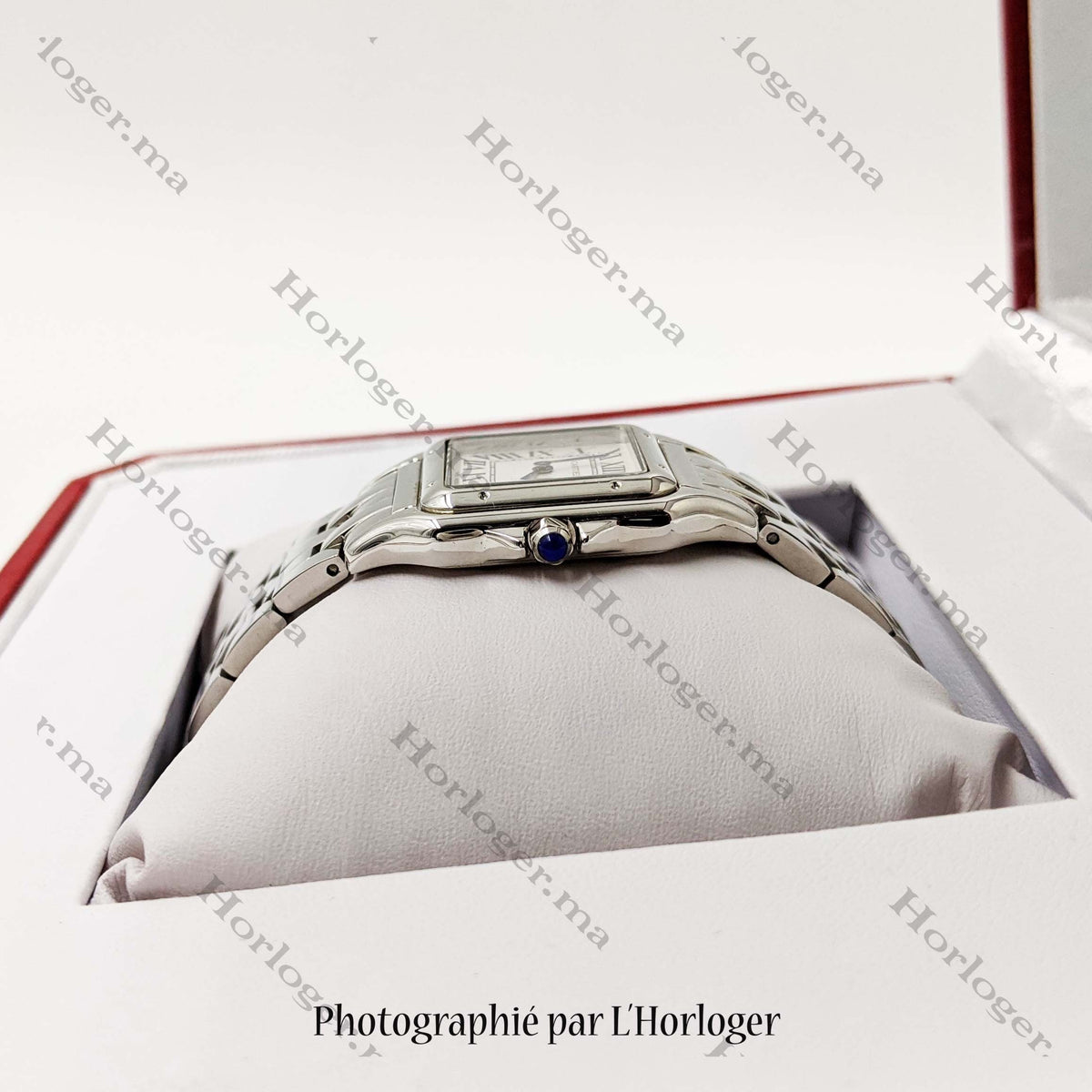 Сartⅰеr Panthère Silver
