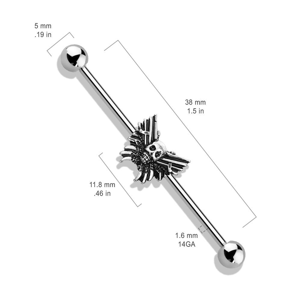 Silver Skull Industrial Barbell