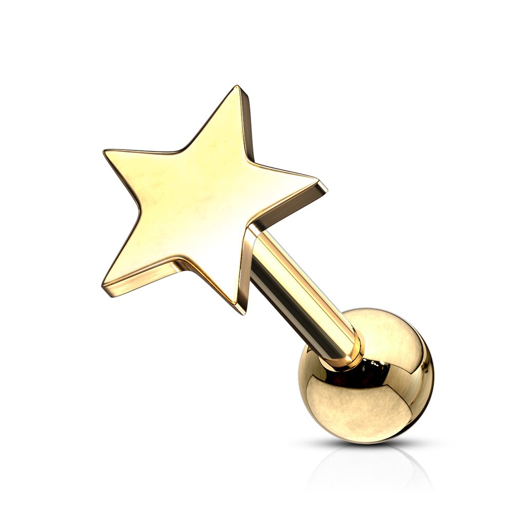 16 Gauge Star Top Cartilage / Tragus Stud