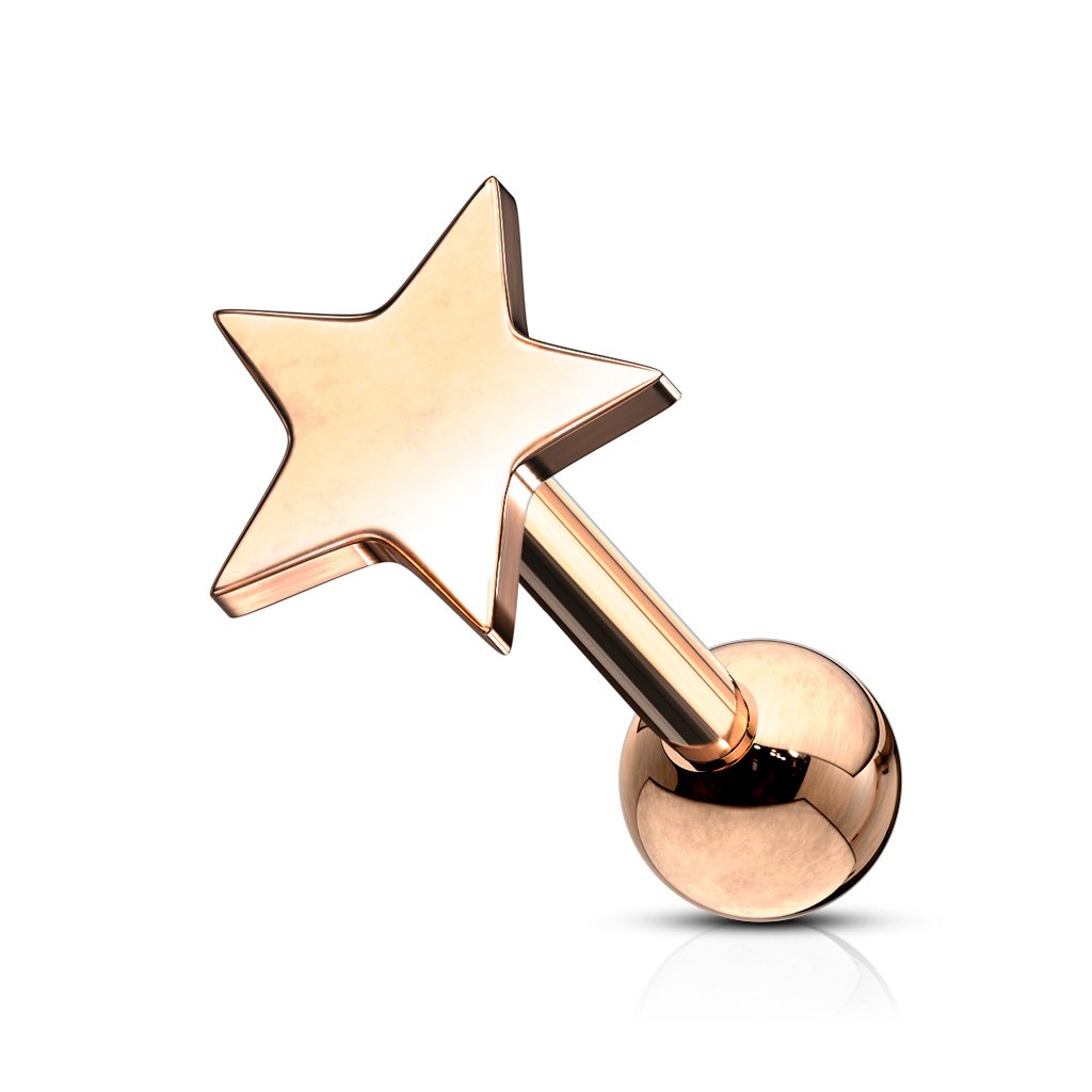 16 Gauge Star Top Cartilage / Tragus Stud