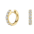 Crystal Set Golden Huggie Hoop Earrings