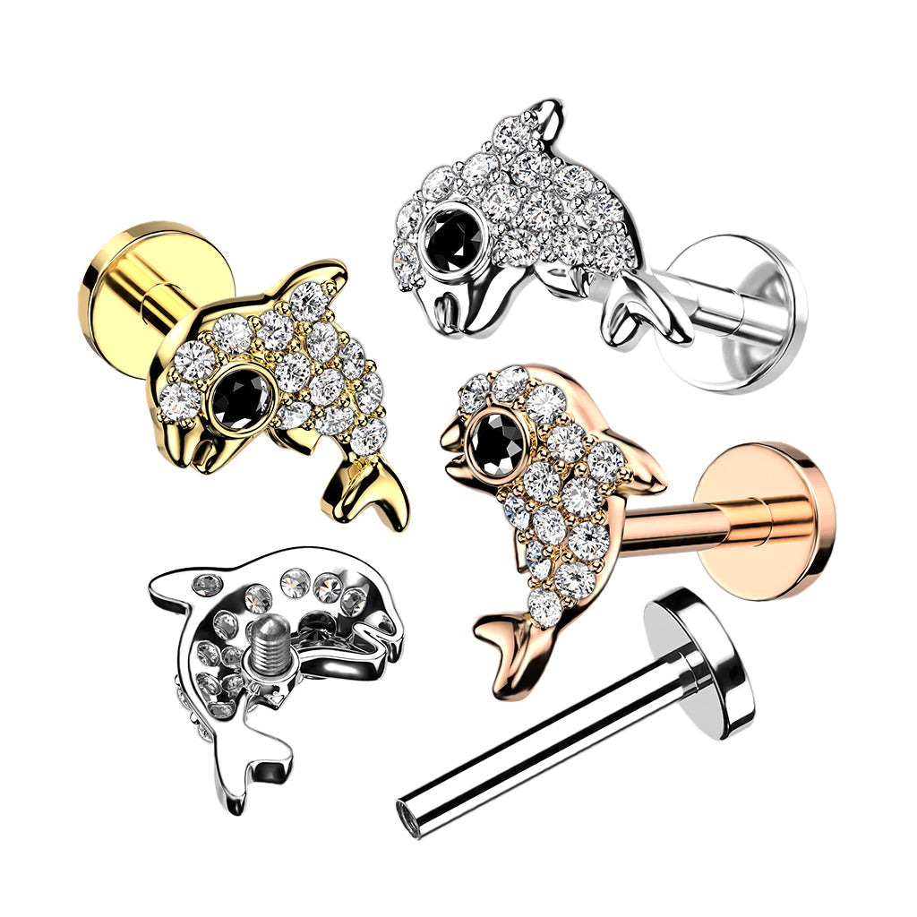 16 Gauge Internally Threaded Crystal Dolphin Stud