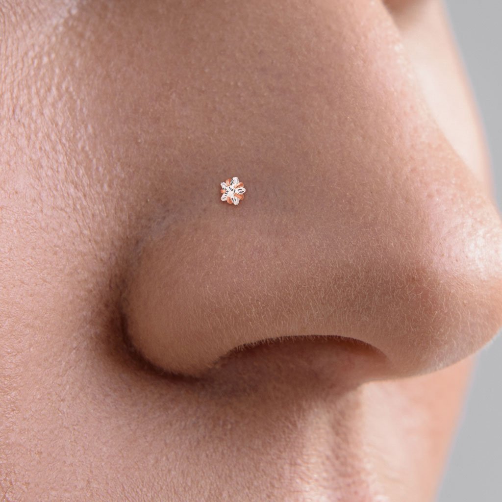 Prong Set Star Top Surgical Steel Nose Stud